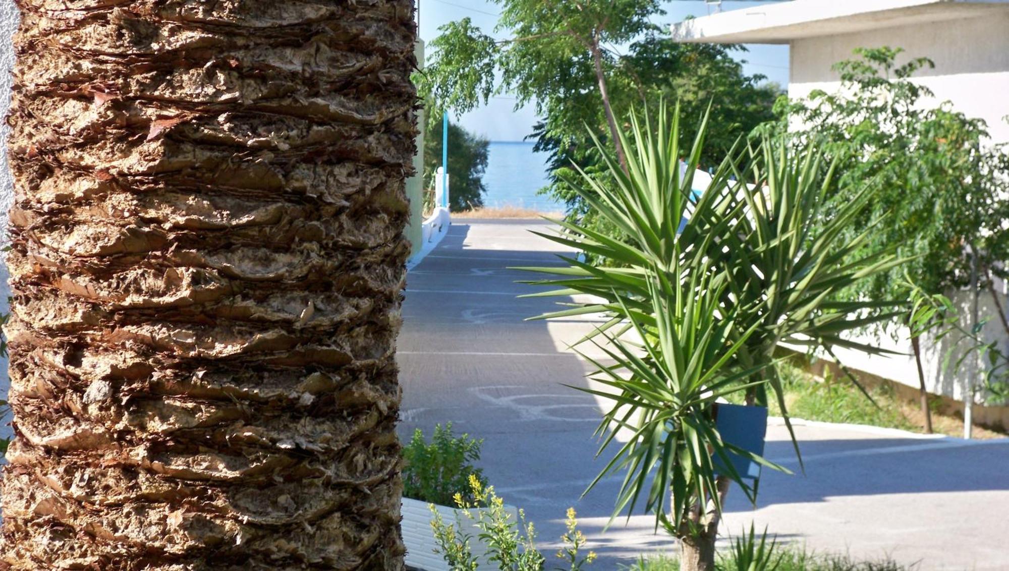 ماراثوكابوسْ Aphrodite Samos Suites المظهر الخارجي الصورة