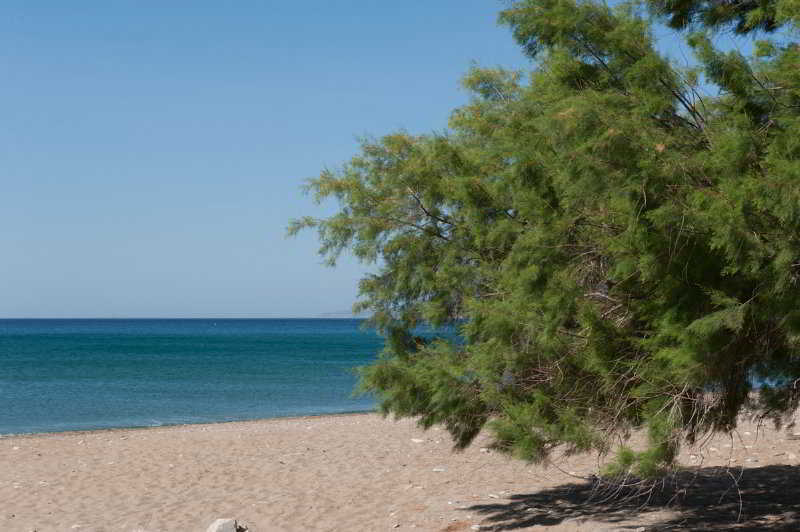ماراثوكابوسْ Aphrodite Samos Suites المظهر الخارجي الصورة